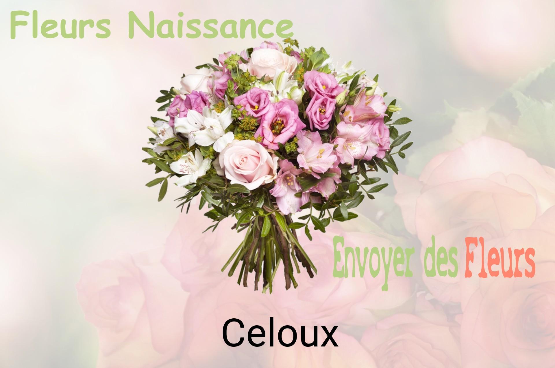 Bouquet de fleurs de naissance livré à Celoux